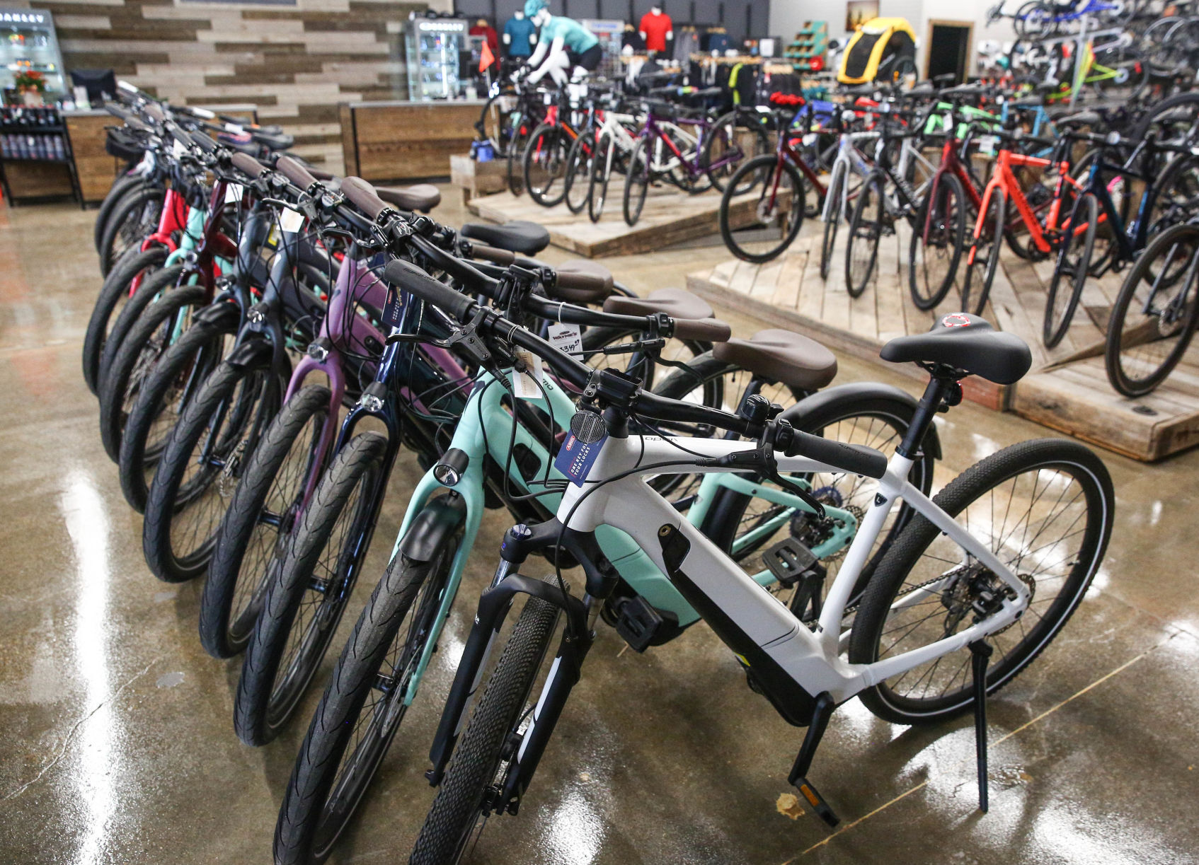 Wayne's Ski and Cycle - 2